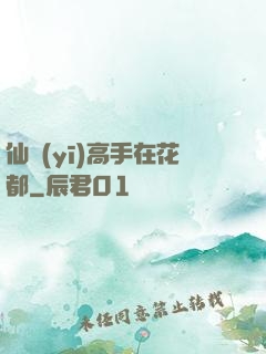 仙醫(yī)高手在花都
