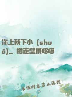 你上我下小說(shuō)