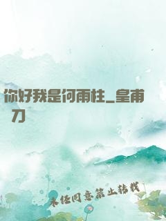 你好我是何雨柱