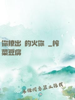 你撩出來的火你滅