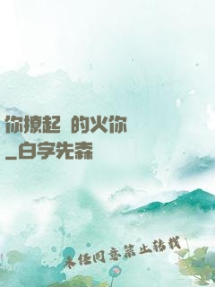 你撩起來的火你負責滅