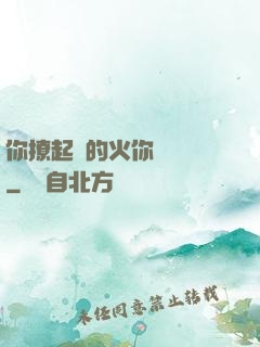 你撩起來的火你負責滅