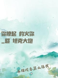 你撩起來的火你負責滅