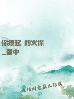 你撩起來的火你負責滅