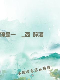 俺是一個賊