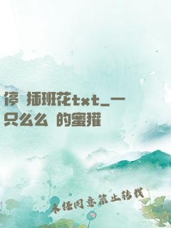 停電插班花txt