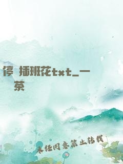 停電插班花txt