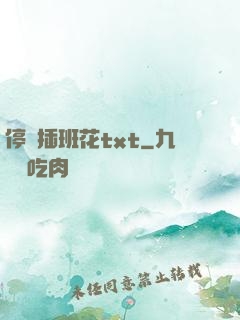 停電插班花txt