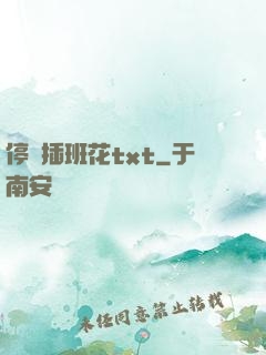停電插班花txt