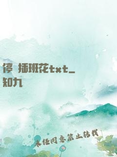 停電插班花txt