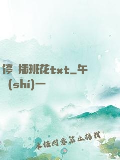 停電插班花txt