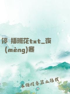 停電插班花txt