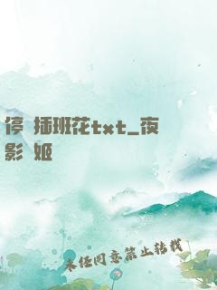 停電插班花txt