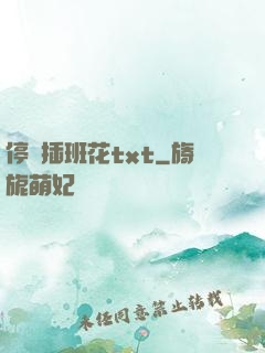 停電插班花txt
