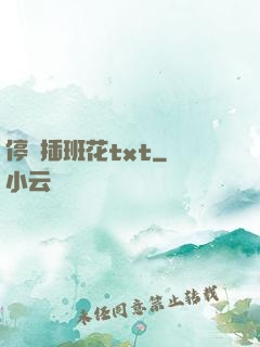 停電插班花txt