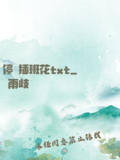 停電插班花txt