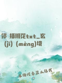 停電插班花txt