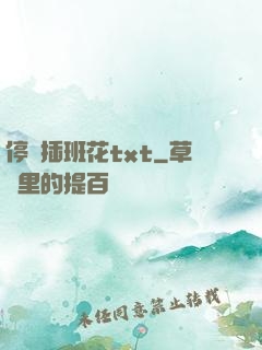 停電插班花txt