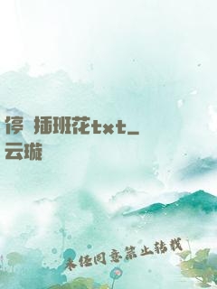 停電插班花txt