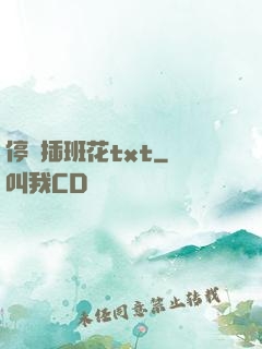 停電插班花txt