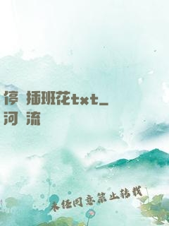停電插班花txt