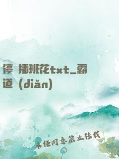 停電插班花txt