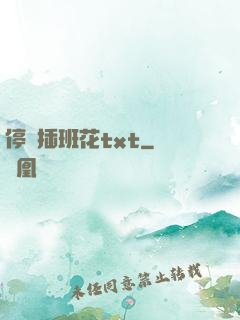 停電插班花txt