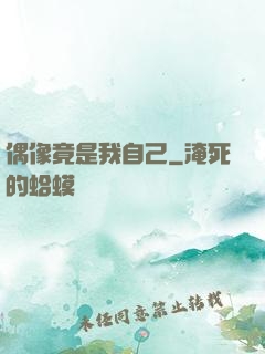 偶像竟是我自己