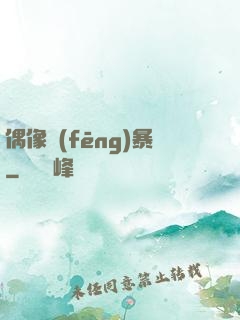 偶像風(fēng)暴