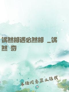 偶然相遇必然相愛