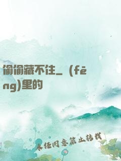 偷偷藏不住