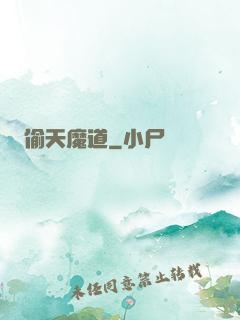 偷天魔道