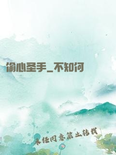 偷心圣手