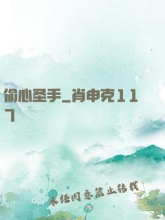 偷心圣手