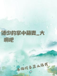 傅少的掌中萌妻