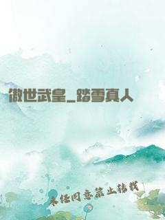 傲世武皇