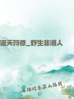 傲天符尊