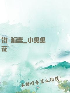 傲嬌狐妻