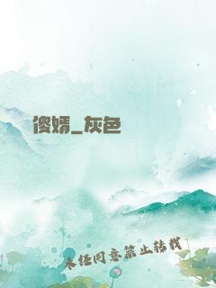 傻婿