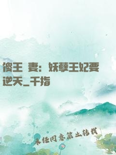 傻王寵妻：妖孽王妃要逆天