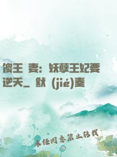 傻王寵妻：妖孽王妃要逆天