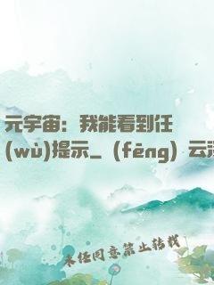 元宇宙：我能看到任務(wù)提示
