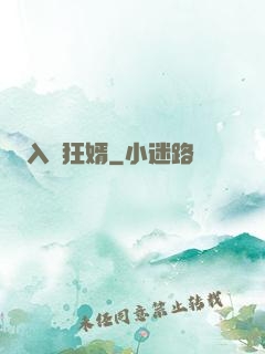 入贅狂婿