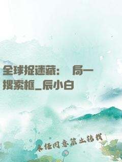 全球捉迷藏：開局一個搜索框