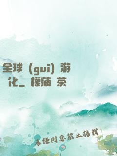 全球規(guī)則游戲化