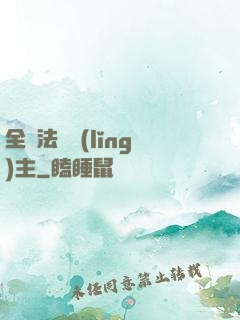 全職法師領(lǐng)主