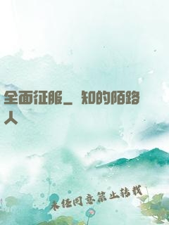 全面征服