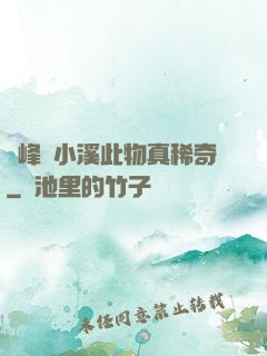 兩峰夾小溪此物真稀奇