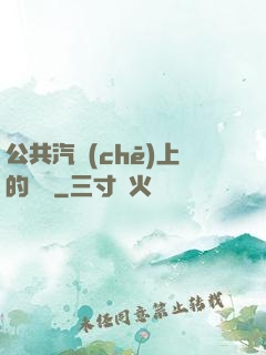 公共汽車(chē)上的輪桿