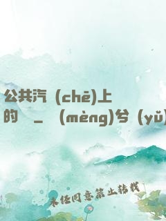 公共汽車(chē)上的輪桿